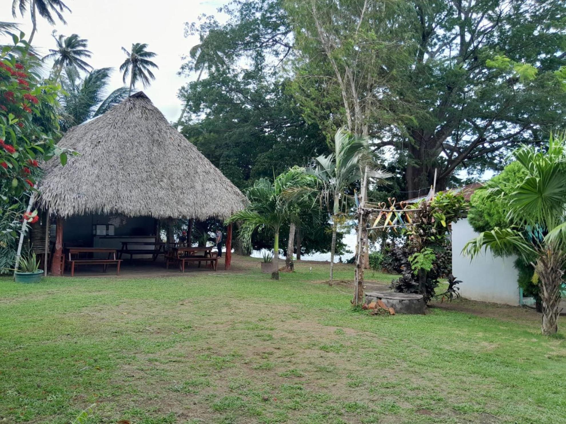 Hostel Los Chocoyos Mérida エクステリア 写真