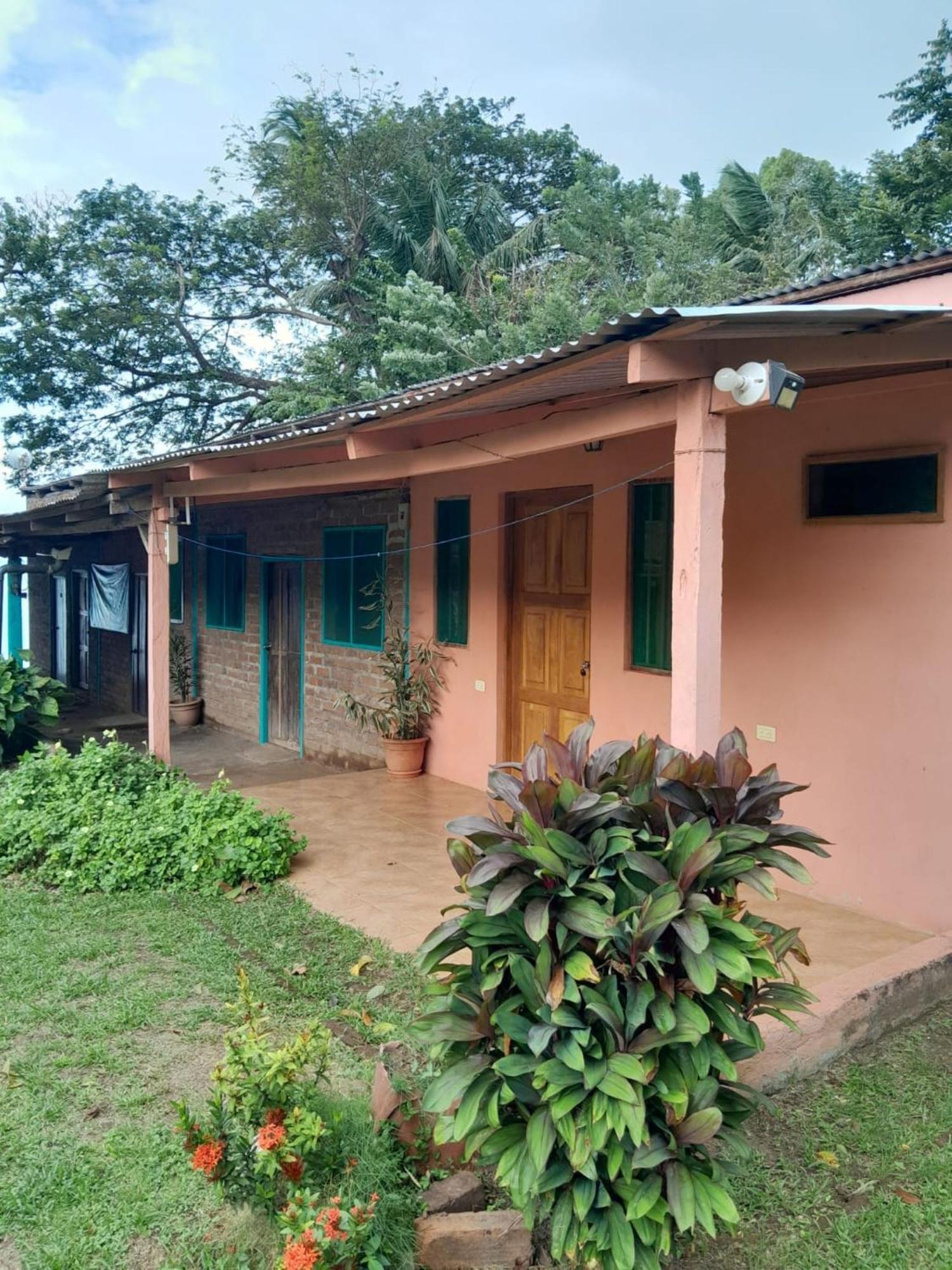 Hostel Los Chocoyos Mérida エクステリア 写真