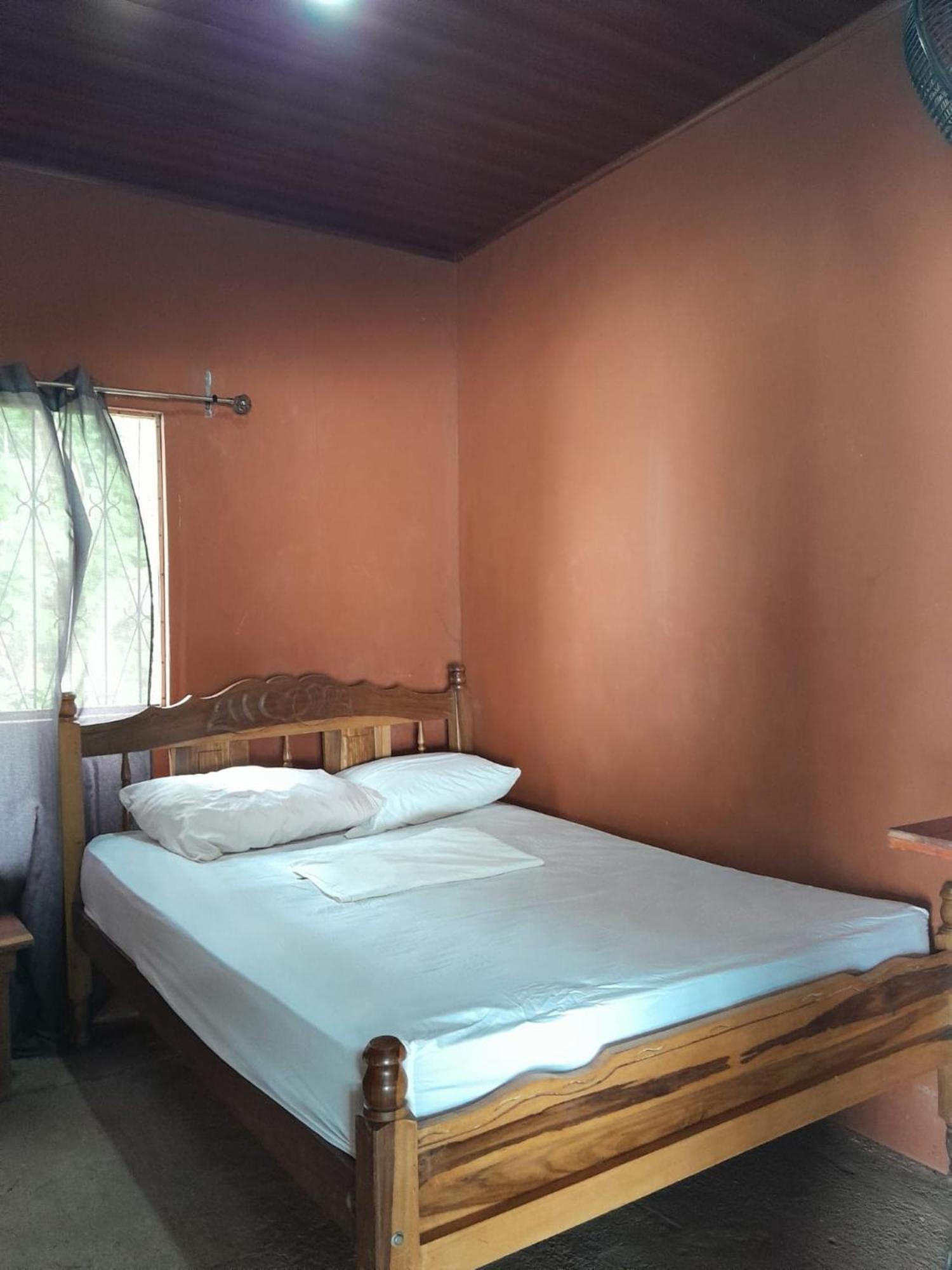 Hostel Los Chocoyos Mérida エクステリア 写真