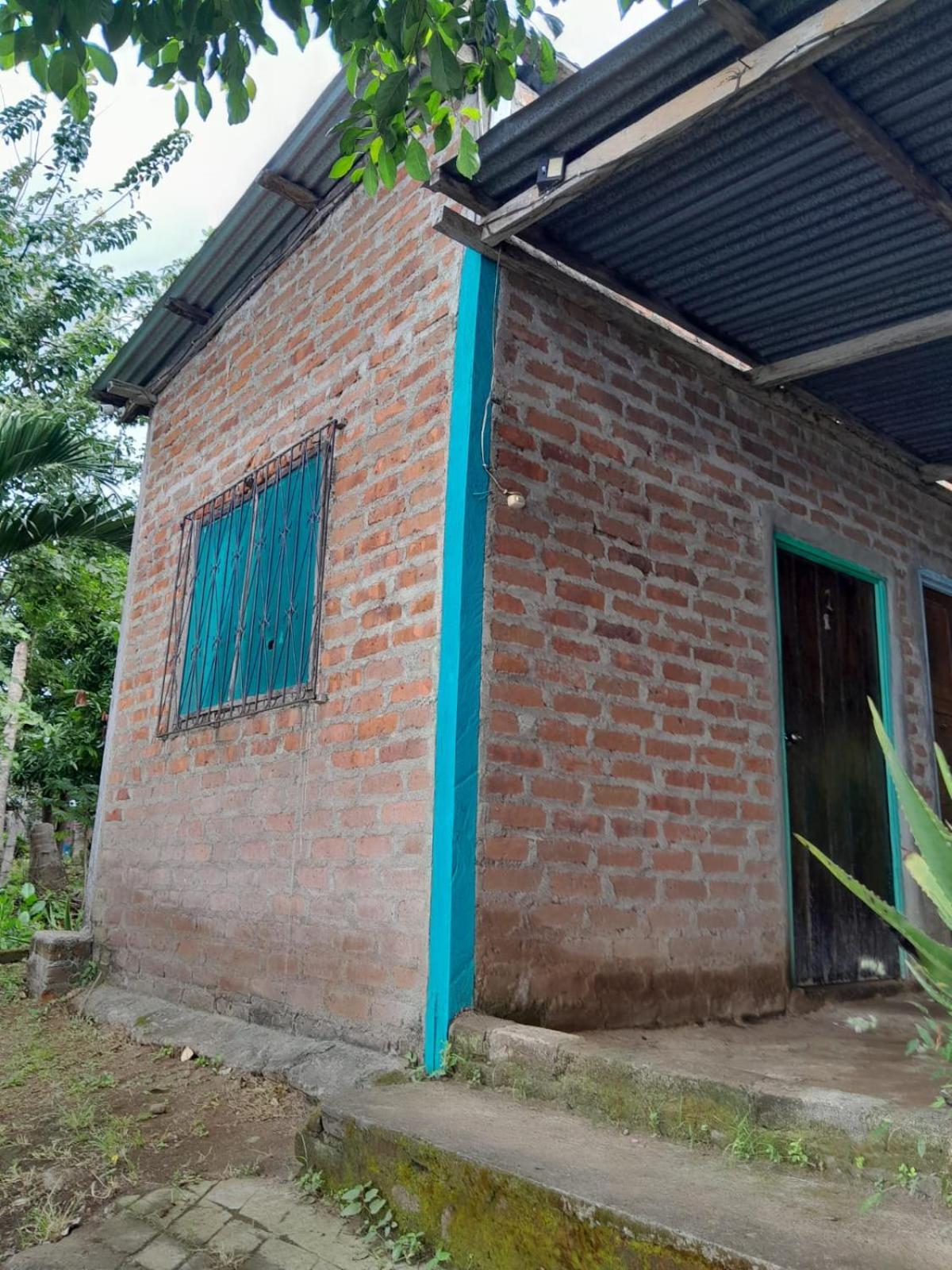 Hostel Los Chocoyos Mérida エクステリア 写真