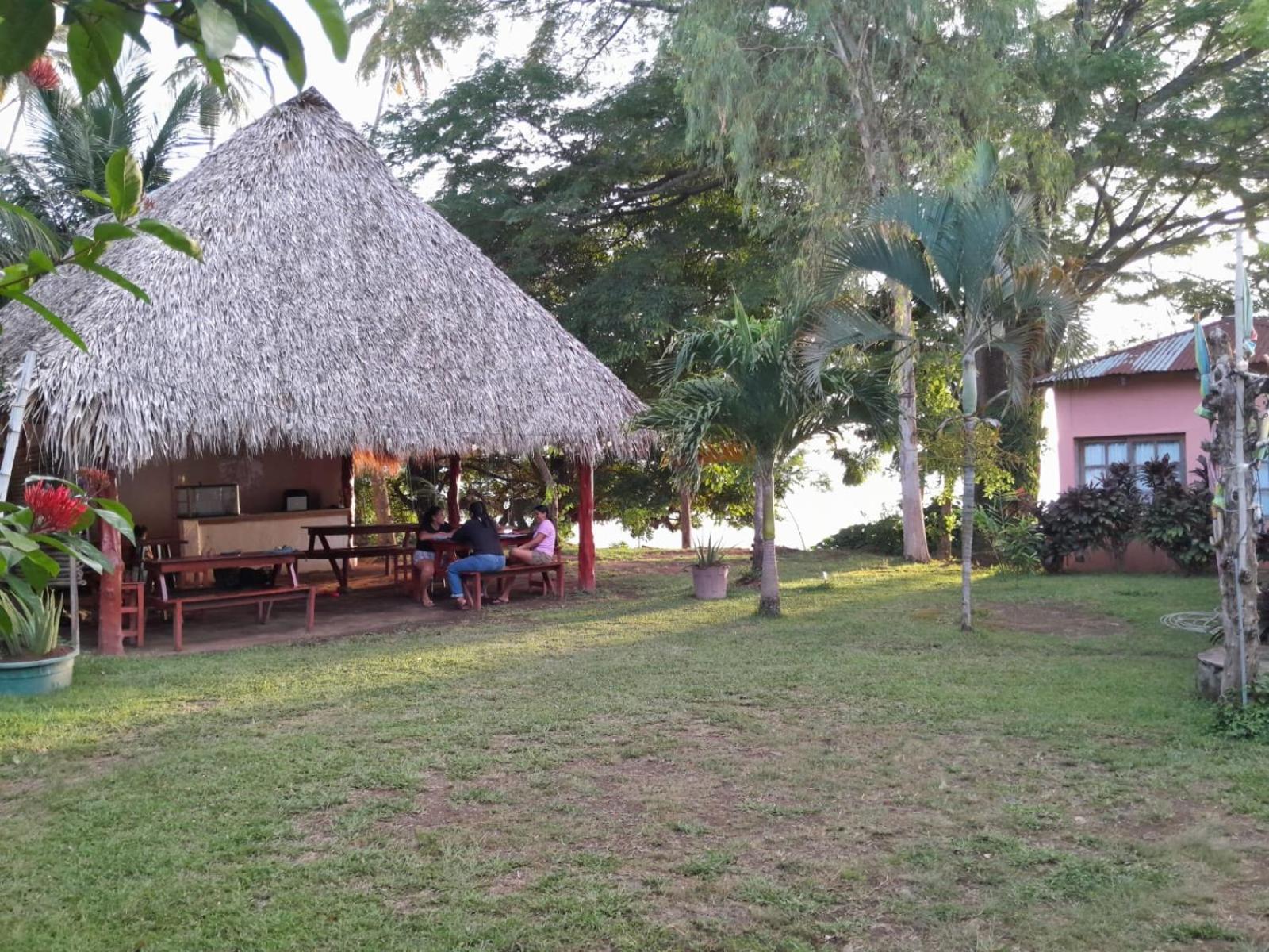 Hostel Los Chocoyos Mérida エクステリア 写真