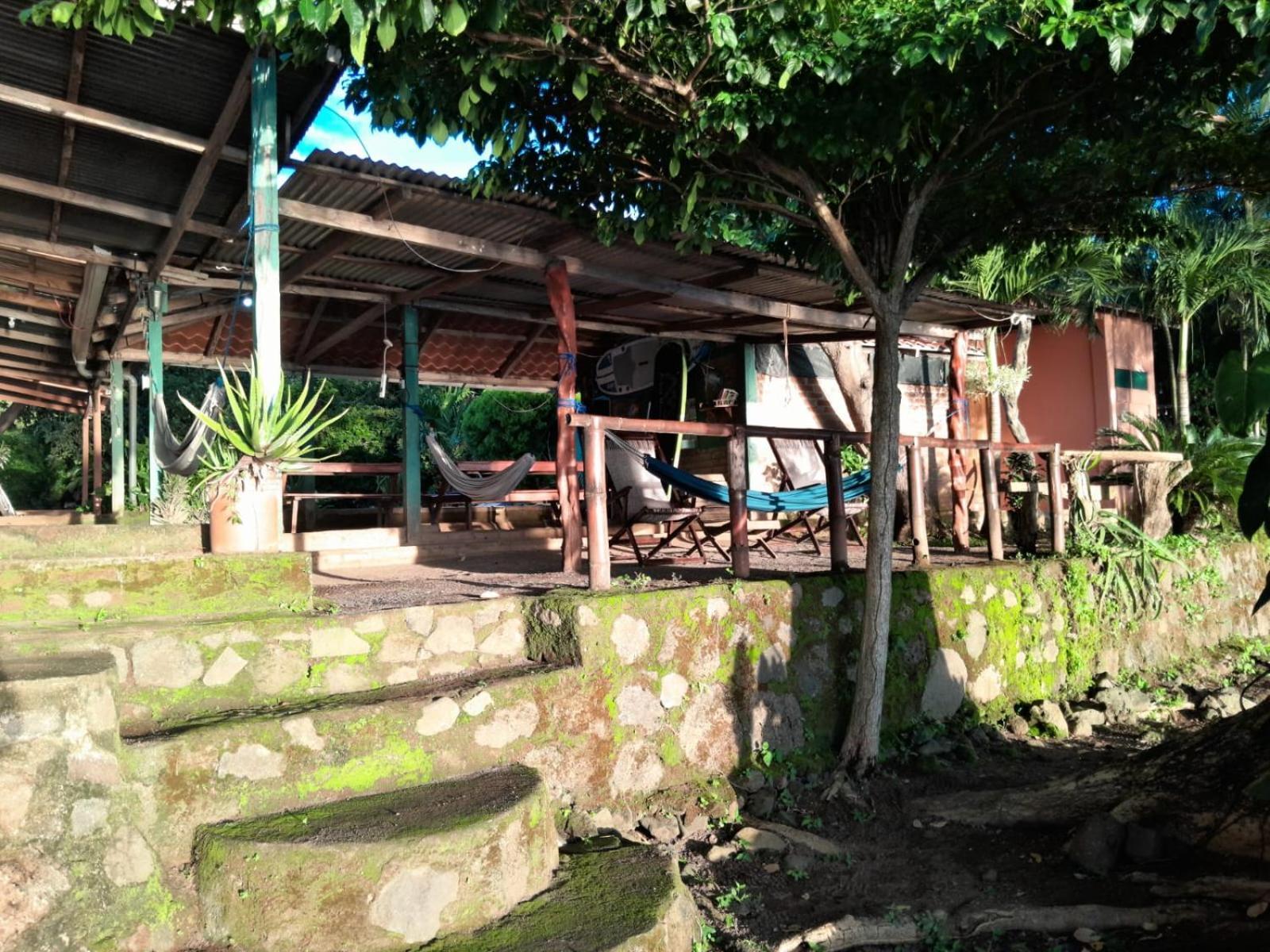 Hostel Los Chocoyos Mérida エクステリア 写真