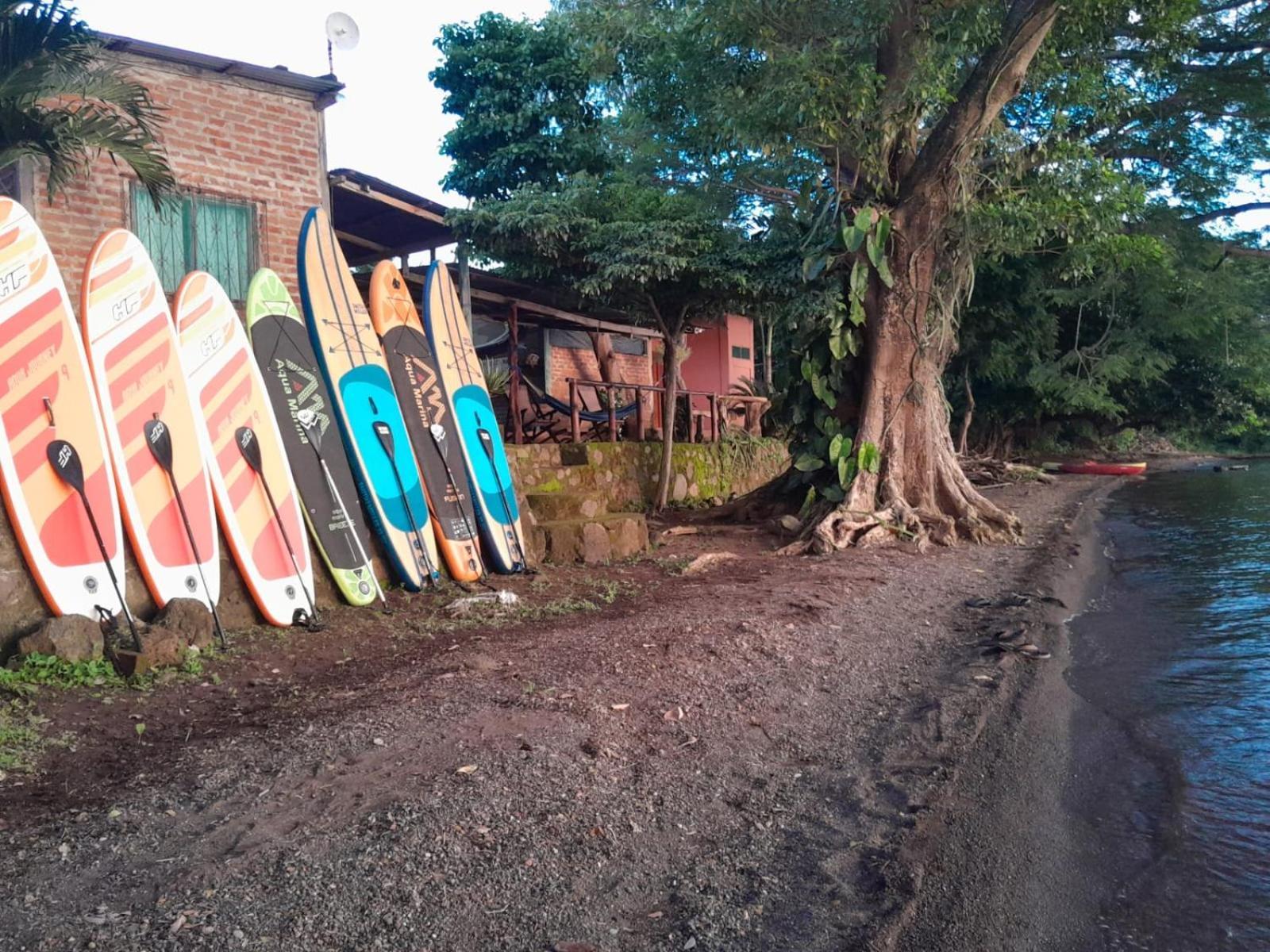 Hostel Los Chocoyos Mérida エクステリア 写真