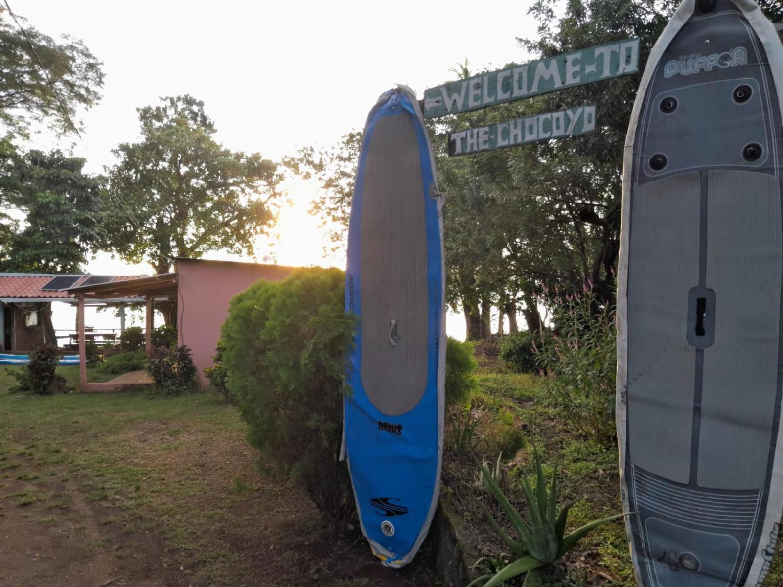 Hostel Los Chocoyos Mérida エクステリア 写真